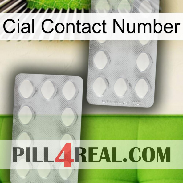 Cial Contact Number 17.jpg